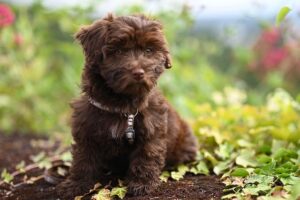 G8f1daa2730c49ecd8c3209d64cd00d9c3ad36f988e166e2d09da1b7731296835cdacd3934a6bc7f210561944d109359ed6116990eac9323a1d73cf1d8518b4f0 640