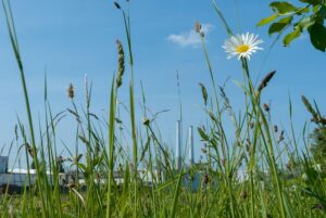 Ga81da3014957ff5e0e489376f23647def9da5d5c0b7827acabe6420c27e626a8fba360d22cd6254b88f2ce161f4467af09cd77eff7dcdd8824f1f18d8069f91b 640