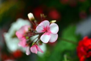 Gfd064cc40ab3c95d5209df6a947d73dcf3239252c8edc6323ed7a981fee7a5d003c22ec518ebf8af2b08b21a976f8ded3f5f4efa323e4905195832588b169cdb 640